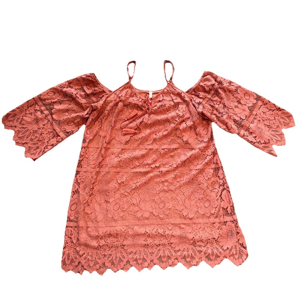 NWT Xhilaration Womens XL Sheer Lace Dress Top Off Shoulder Coquette Pink Beige